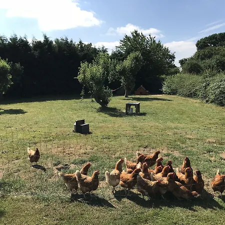 Hotell Colton Haggs Farm Bilbrough
